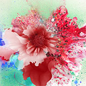 插画艺术 - 日本艺术家橱窗背景花朵插画