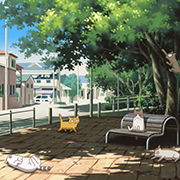 佳作欣赏：すたにゃ 猫咪日记