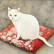 日本插画家山田绿 (Midori Yam