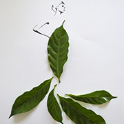 Tang Chiew Ling - 纯天