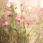 动人的插画欣赏 - nibybiel