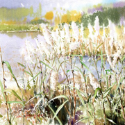 申宗植的写实水彩画