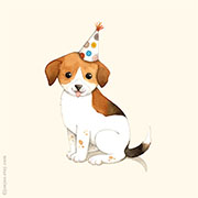 加拿大Afsaneh Tajvidi清新